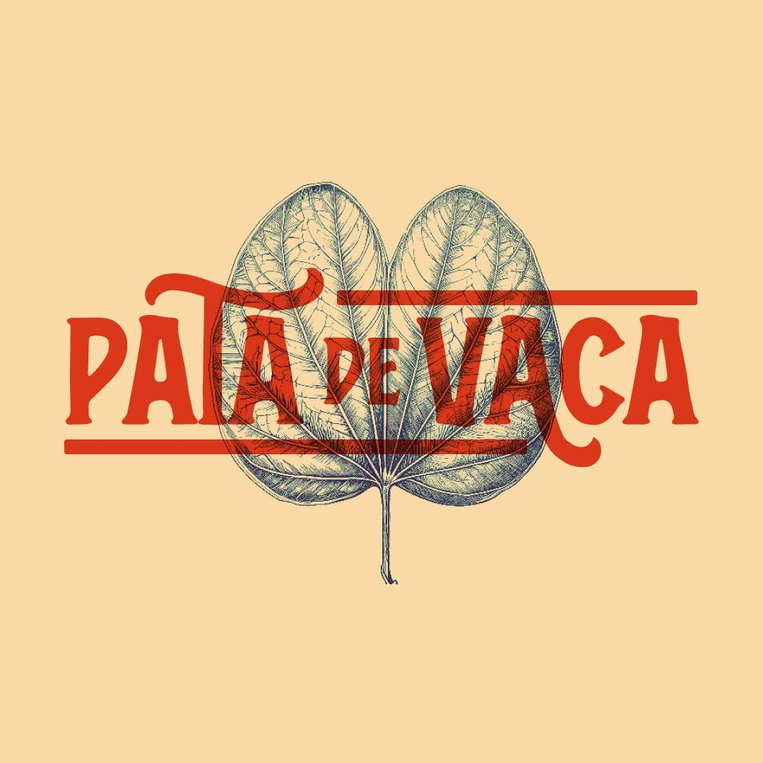 469199714_122126756984568217_7464036854710710798_n